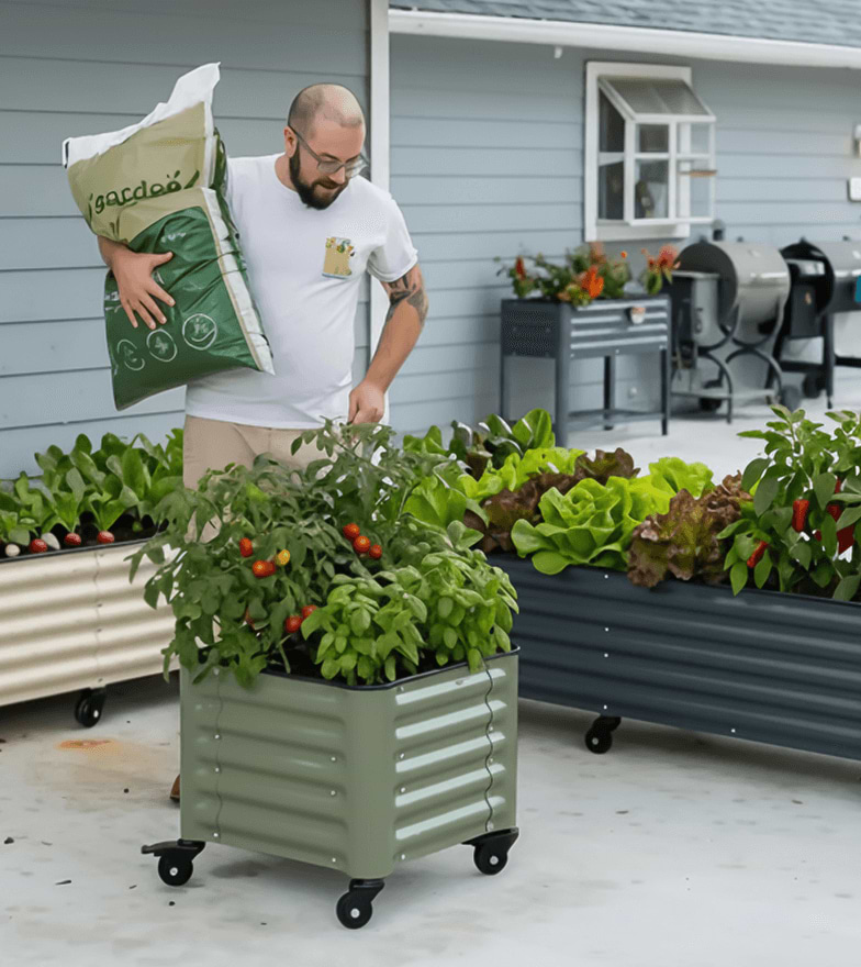 Vego garden beds