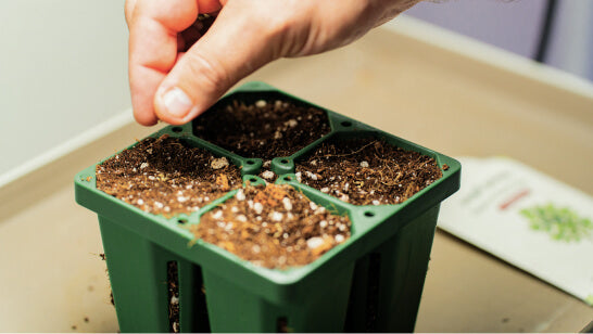 Vego garden beds