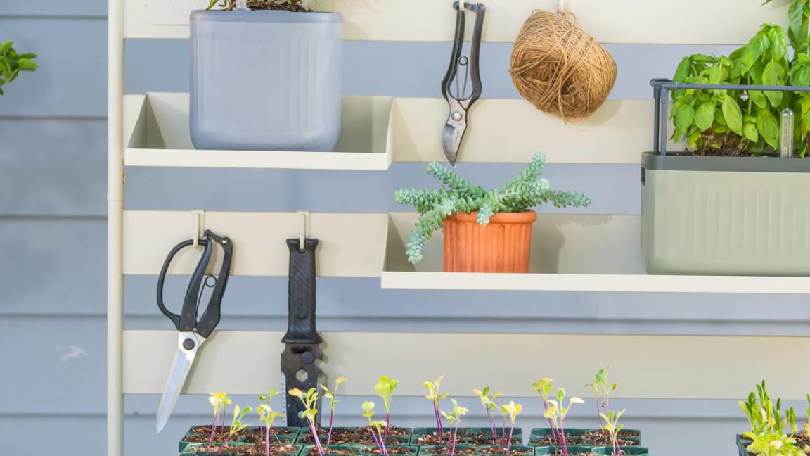 Vego garden beds