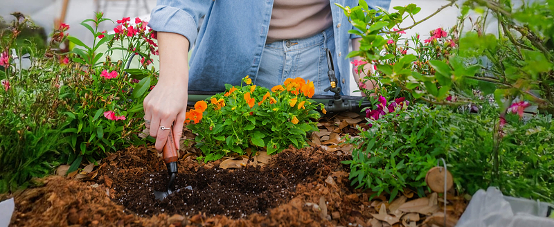 Vego garden beds