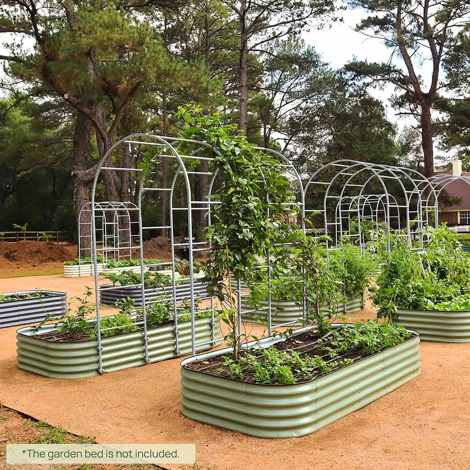 Garden Trellis Systems for Raised Beds | Vego Garden