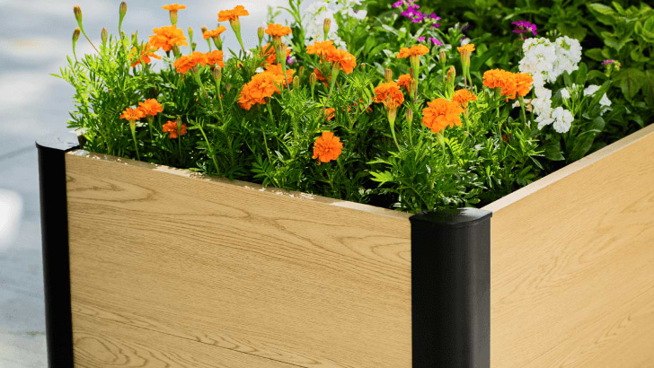 Vego garden beds