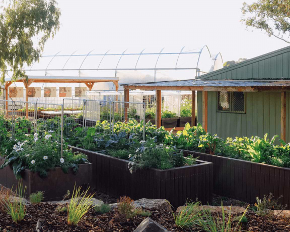 Vego garden beds