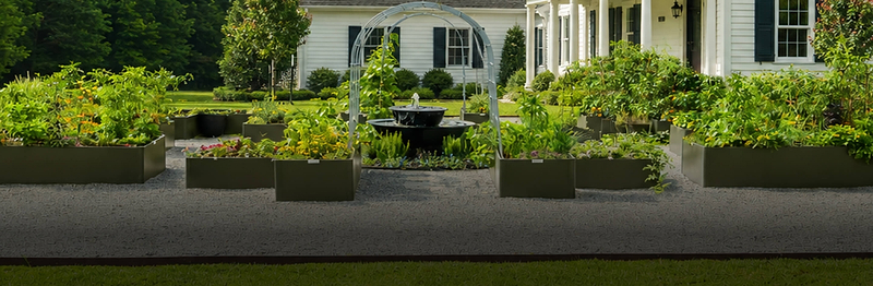 Beautiful in Every Yard