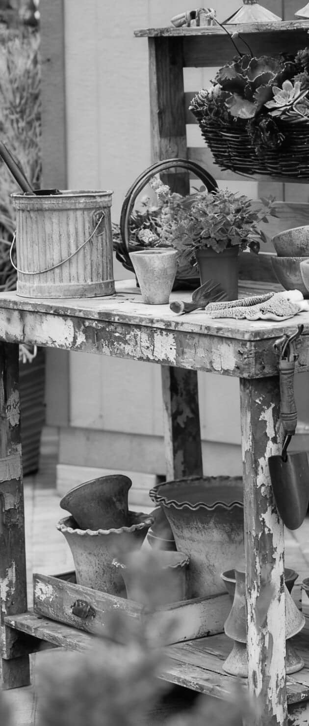 Vego garden beds