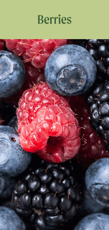 Berries