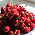 Bing Cherry Tree