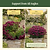 Birdcage Trellis - 2 Pack | Vego Garden