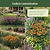 Border Edging - 3 Pack | Vego Garden