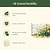 Border Edging - 3 Pack | Vego Garden