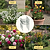 Border Plant Support Curved - 6 Pack | Vego Garden