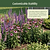 Border Plant Support Wavy - 6 Pack | Vego Garden