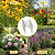 Border Plant Support Wavy - 6 Pack | Vego Garden