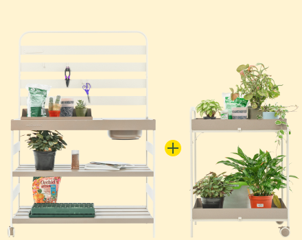 Vego garden beds