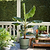 Cold Hardy Banana Tree | Vego Garden