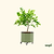 Self-Watering Rolling Citrus Tree Planter 30 Gallon - Gen 3 | Vego Garden