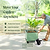 Classic Rolling Cube Tomato Planter  | Vego Garden