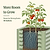 Classic Rolling Cube Tomato Planter  | Vego Garden