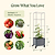 Classic Rolling Cube Tomato Planter  | Vego Garden