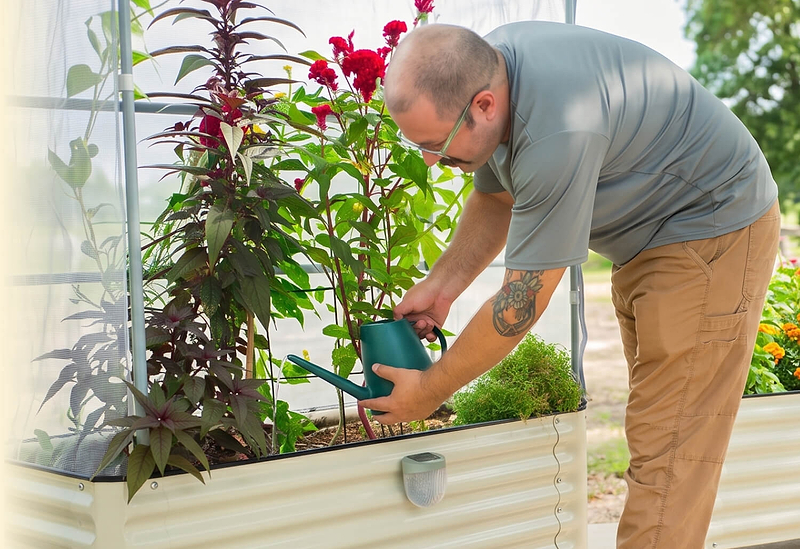 Vego garden beds