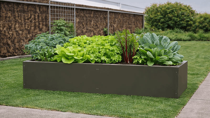 Vego garden beds