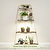 4-Tier Corner Plant Stand