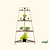 4-Tier Corner Plant Stand | Vego Garden