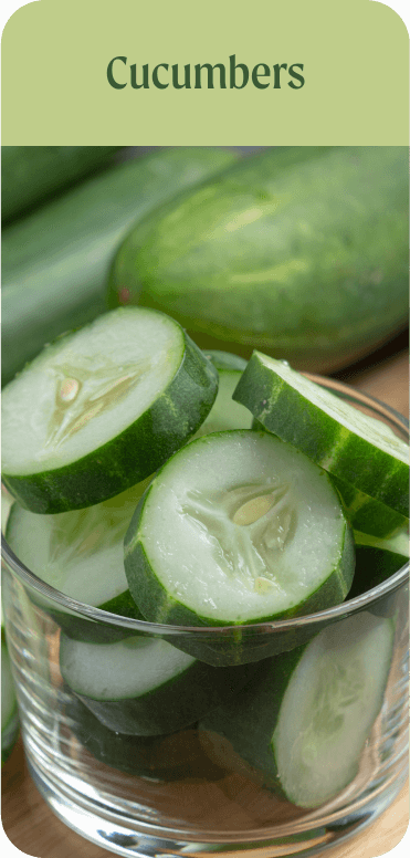 Cucumbers
