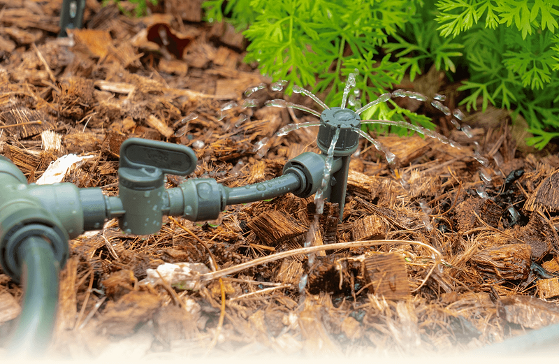 Custom Plant-by-Plant Control