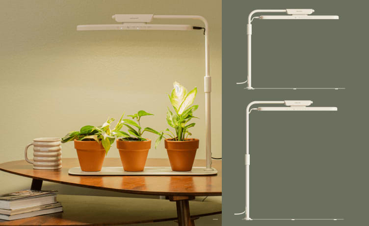 Vego garden beds