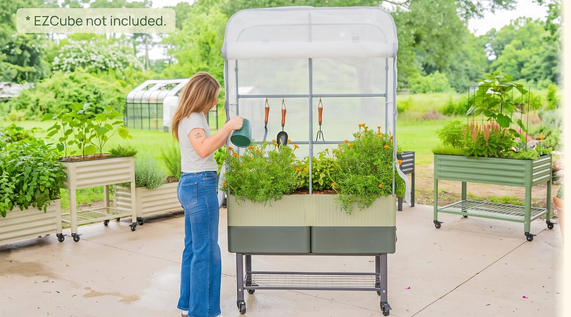 Vego garden beds