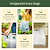 Dome Cloche Kit | Vego Garden | Vego Garden