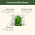 Dome Cloche Kit | Vego Garden | Vego Garden