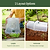 Dome Cloche Kit | Vego Garden | Vego Garden