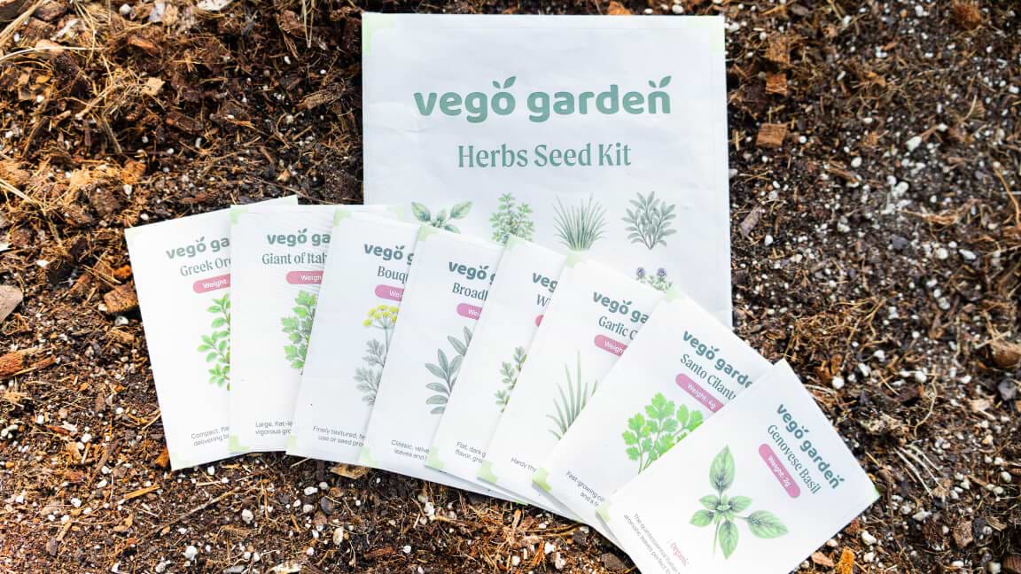 Don’t Forget Your Seeds!
