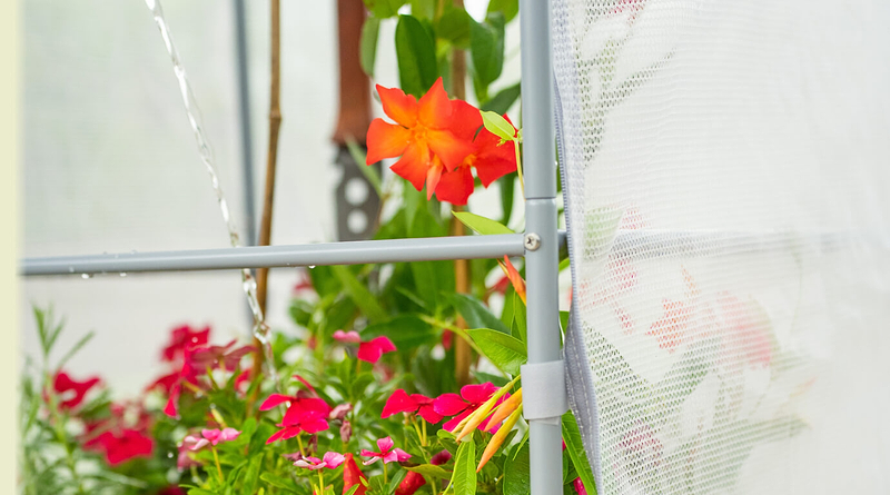 Vego garden beds