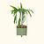 Classic Rolling Dragon Fruit Planter Gen 2
