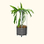 Classic Rolling Dragon Fruit Planter Gen 2