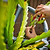 Classic Rolling Dragon Fruit Planter Gen 2
