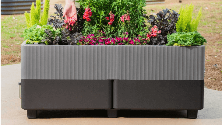 Vego garden beds