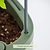 Trellis Gen2 for EZ Tomato Planter | Vego Garden