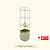 Trellis Gen2 for EZ Tomato Planter | Vego Garden