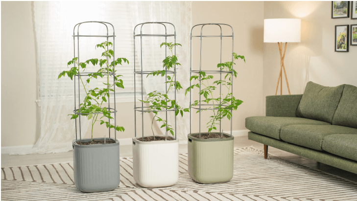 Vego garden beds