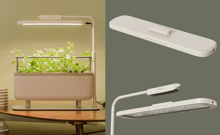 Vego garden beds