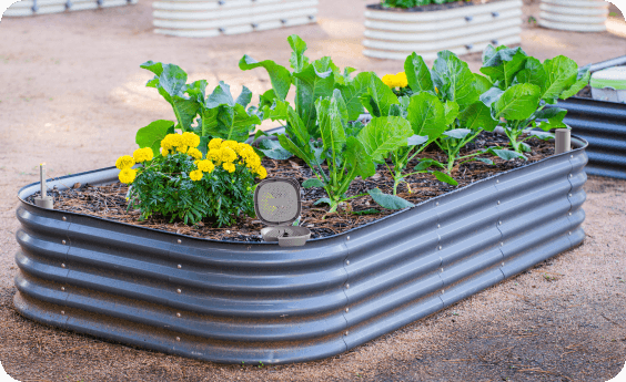 Vego garden beds