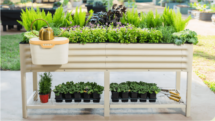 Vego garden beds