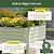 Elevated Garden Bed - Jumbo Series | Vego Garden
