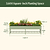 Elevated Garden Bed - Jumbo Series  | Vego Garden