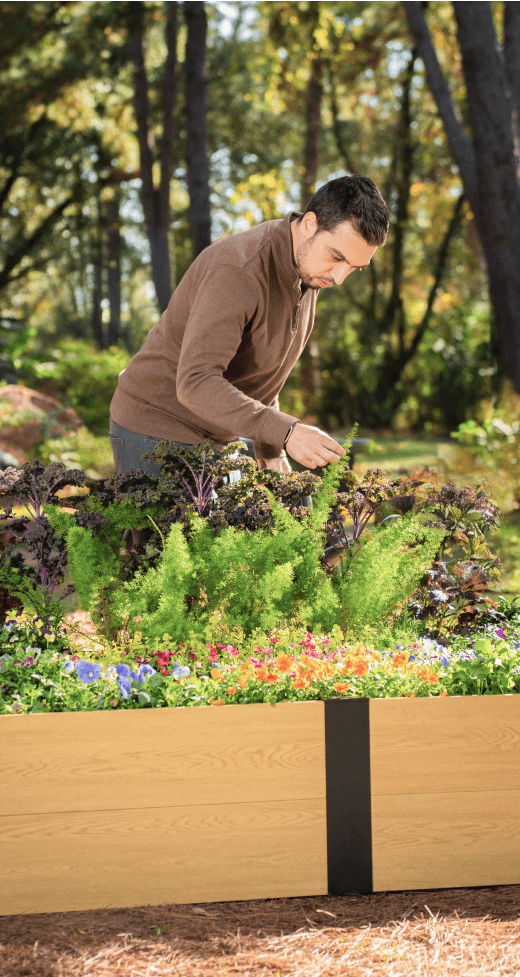 Vego garden beds