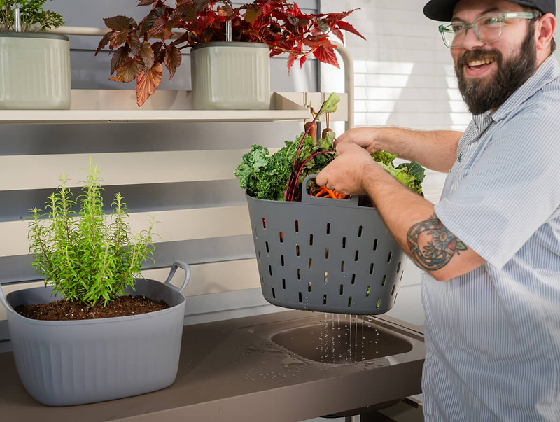 Vego garden beds
